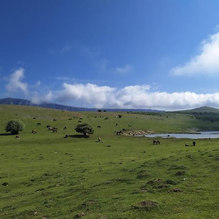 Casa Rural Ulibarri Allo エクステリア 写真
